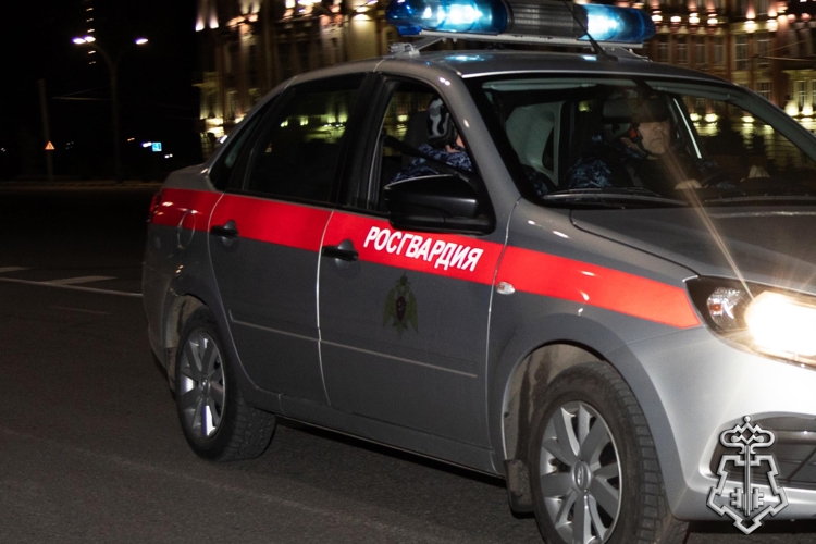 В РОСТОВСКОЙ ОБЛАСТИ СОТРУДНИКИ ВНЕВЕДОМСТВЕННОЙ ОХРАНЫ ЗАДЕРЖАЛИ ДЕБОШИРА
