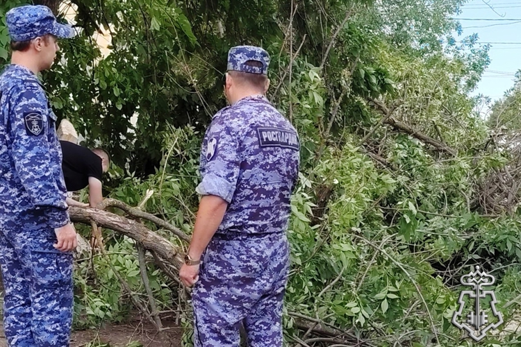 СОТРУДНИКИ ВНЕВЕДОМСТВЕННОЙ ОХРАНЫ РОСТОВСКОЙ ОБЛАСТИ ПРИНЯЛИ УЧАСТИЕ В УСТРАНЕНИИ ПОСЛЕДСТВИЙ СИЛЬНОГО УРАГАНА